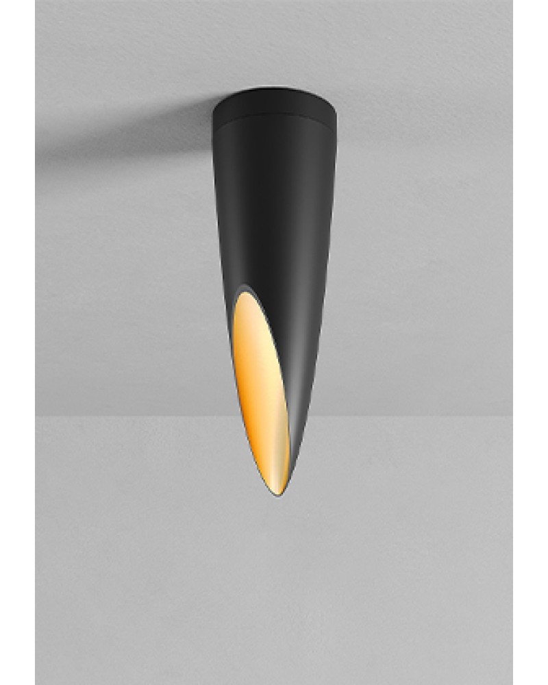 Brancusi